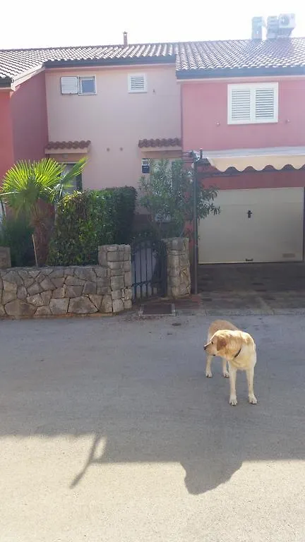 Villa Carpe Diem Vantacici